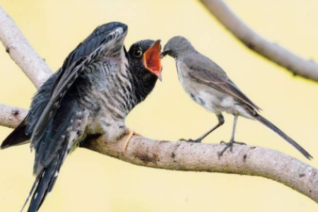 April 2024 - News & Views April 2024 - News & Views
